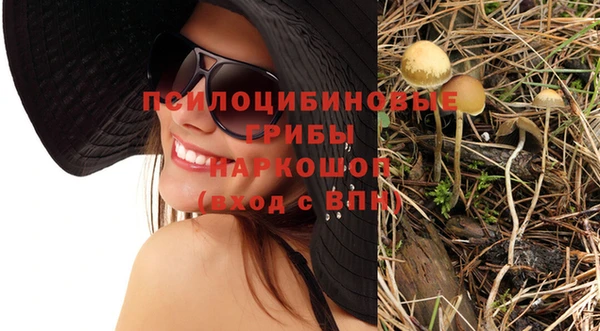 таблы Белокуриха