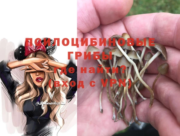 соль ск Беломорск