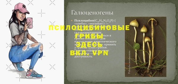 таблы Белокуриха