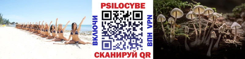 Купить закладки  Хадыженск  Псилоцибиновые грибы мухоморы 